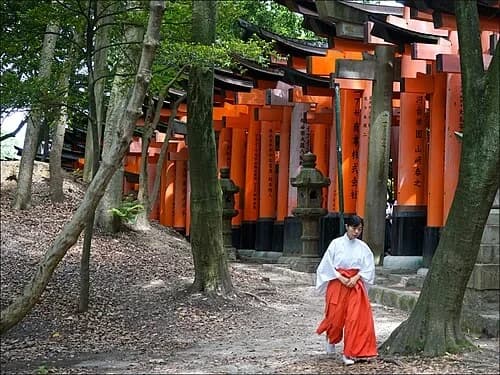 Lebendige Traditionen — 伏見稲荷大社 千本鳥居