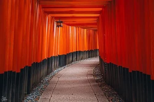 Laternen und Schatten — 伏見稲荷大社 千本鳥居