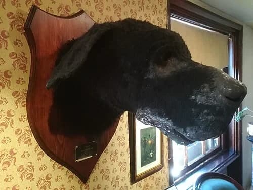 The Hound of the Baskervilles — Sherlock Holmes Museum audio guide stop