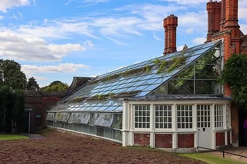 The Great Vine Glasshouse — Hampton Court Palace audio guide stop