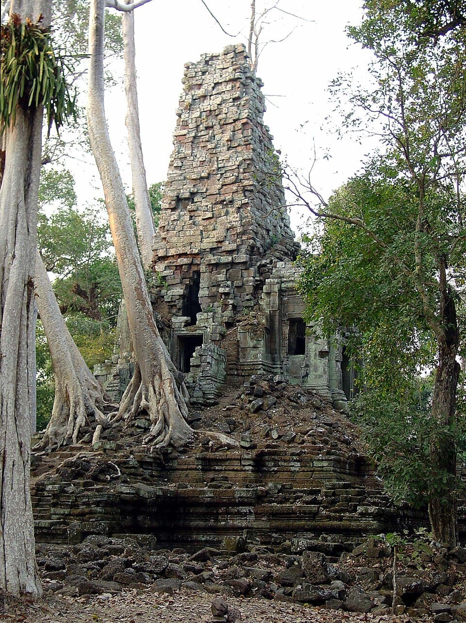 Nature Reclaiming the Stone — Angkor Thom audio guide stop