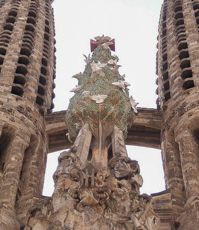 The Tree of Life