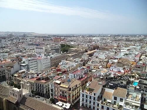 The City Panorama