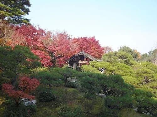 The Middle Gate — Ōkōchi Sansō audio guide stop