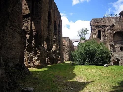 Baths of Septimius Severus — Palatine Hill audio guide stop