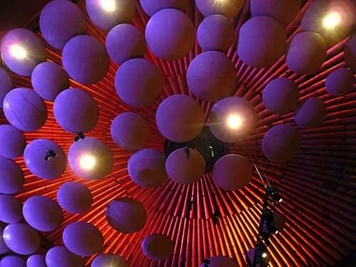 The Acoustic Mushrooms — Royal Albert Hall audio guide stop