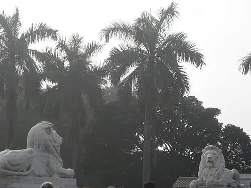 The Guardian Lions