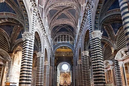 The Vast Nave