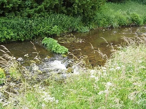 The River Skell — Fountains Abbey audio guide stop