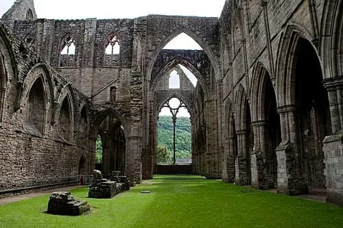Looking Down the Nave — Tintern Abbey audio guide stop