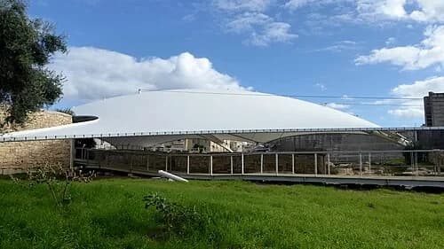 The Protective Canopy