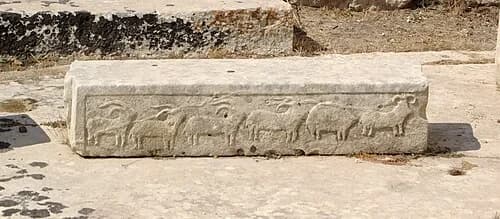 Animal Relief Carvings
