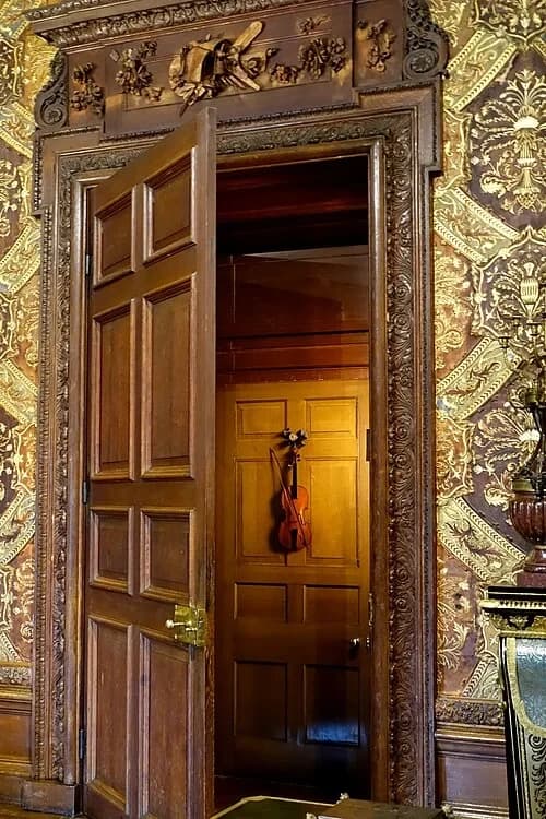 The Violin Door