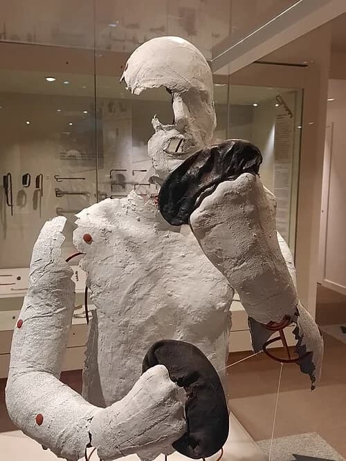 The Roman Boxing Gloves — Vindolanda audio guide stop