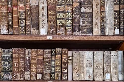 The Ancient Volumes — Biblioteca Joanina audio guide stop