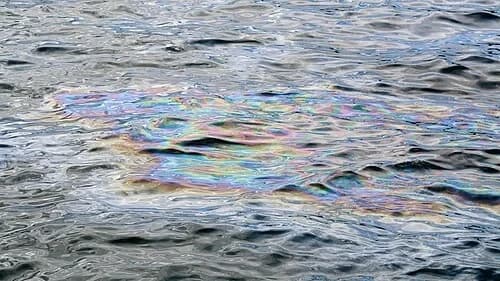 The Black Tears — USS Arizona Memorial audio guide stop