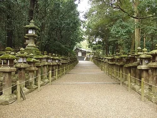 Path of Mossy Lanterns