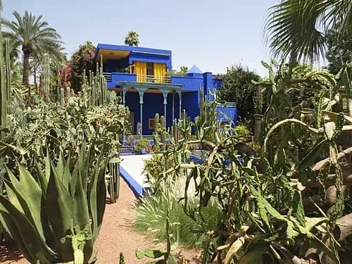 Villa and Cacti Landscape