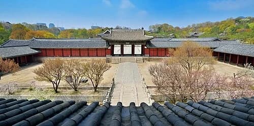 الممر الرسمي — 창경궁